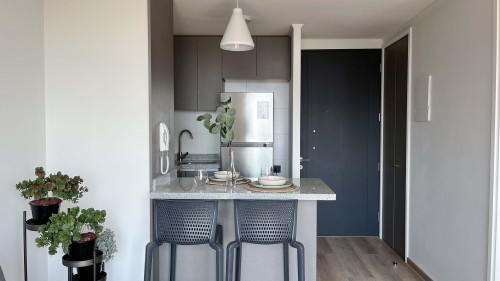 Paso el Roble 50 - 1D1B